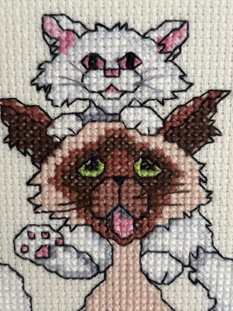 Home is Where the Cat Is Cross Stitch