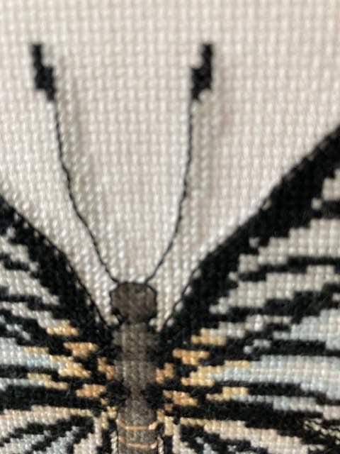 Blue Butterfly Cross Stitch