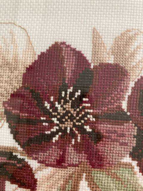 Burgundy Red Flowers