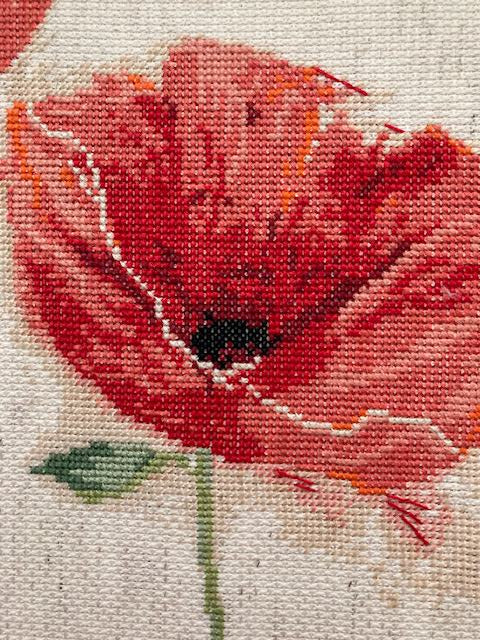 Poppies Cross Stitch